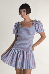 Blue Check Stripe Mini Dress with Bow Sleeves