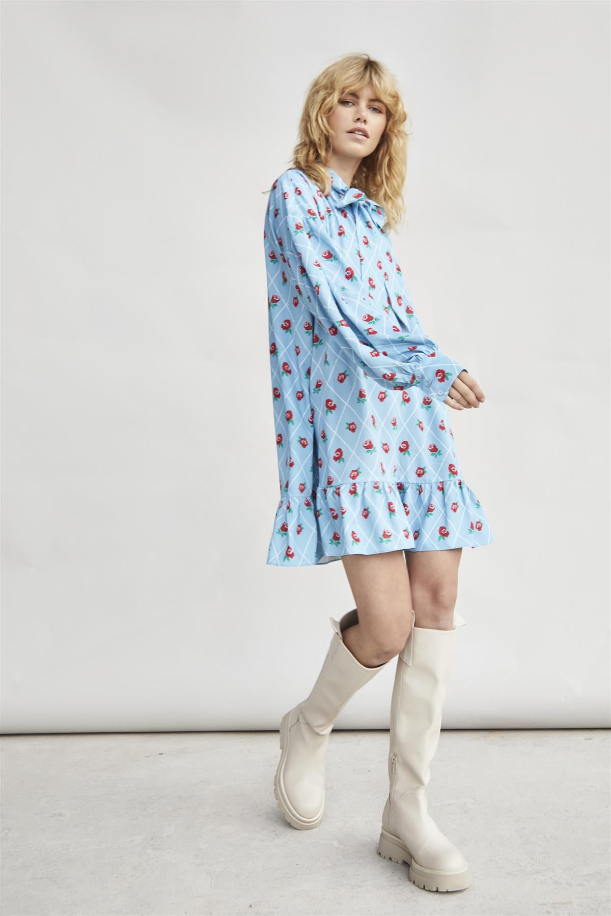 Rose Trellis Bow Front Mini Dress