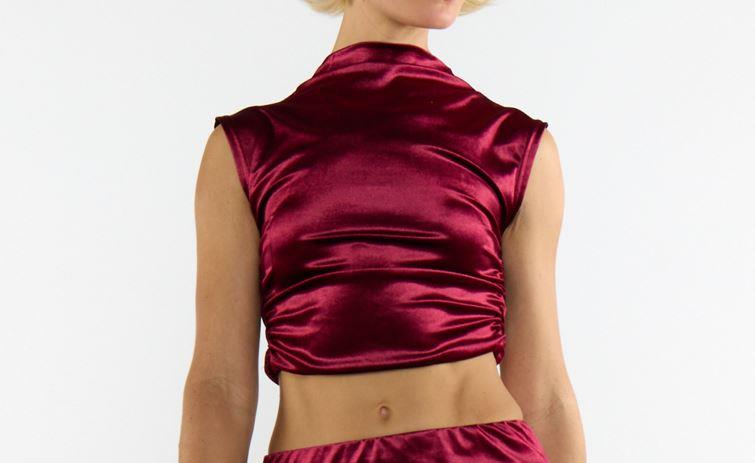 Burgundy Velvet Sleeveless Mock Neck Crop Top