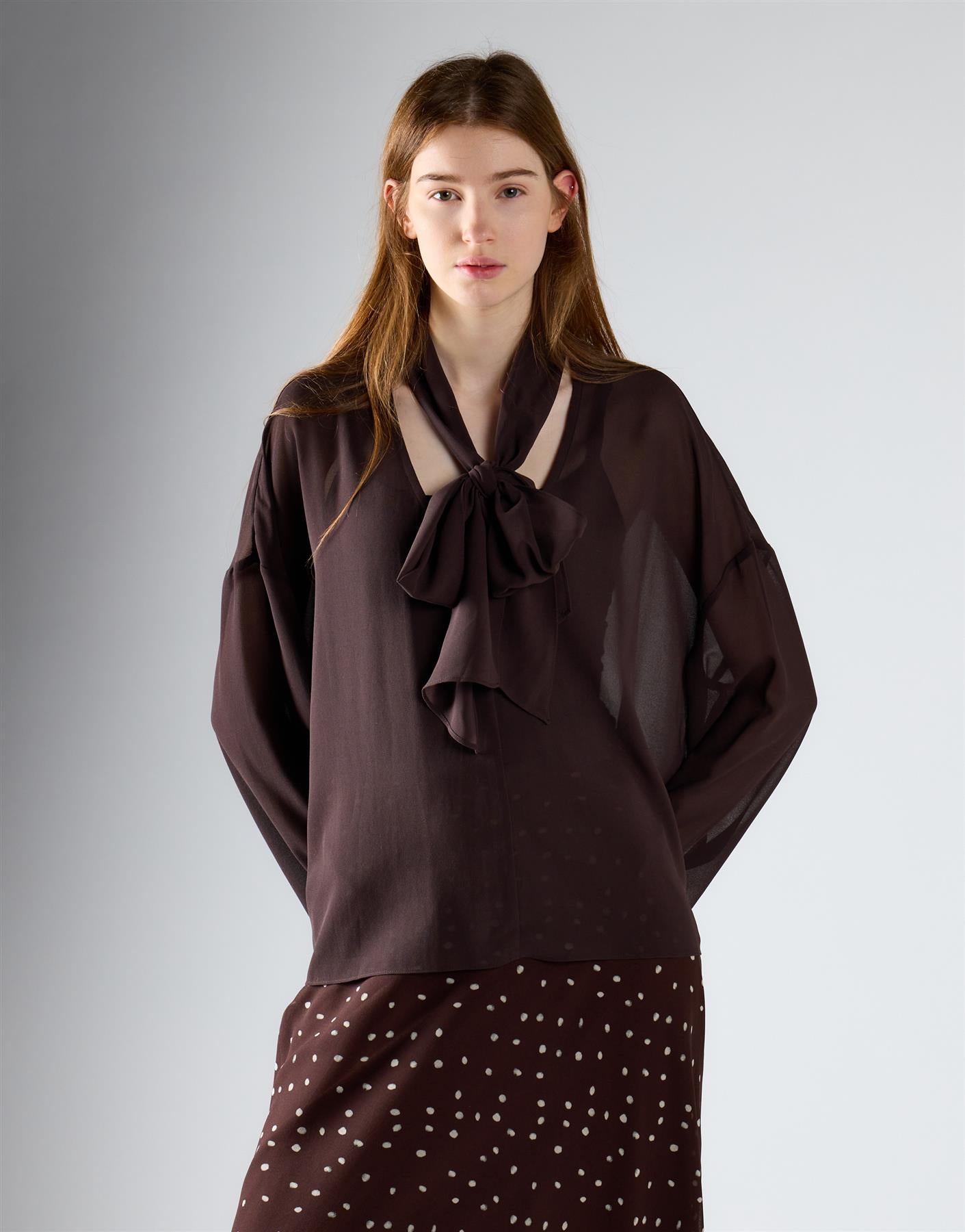 Coffee Brown Sheer Tie-Neck Blouse