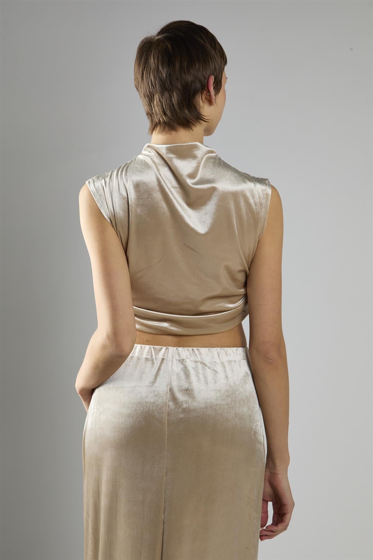 Oyester Velvet Sleeveless Mock Neck Crop Top