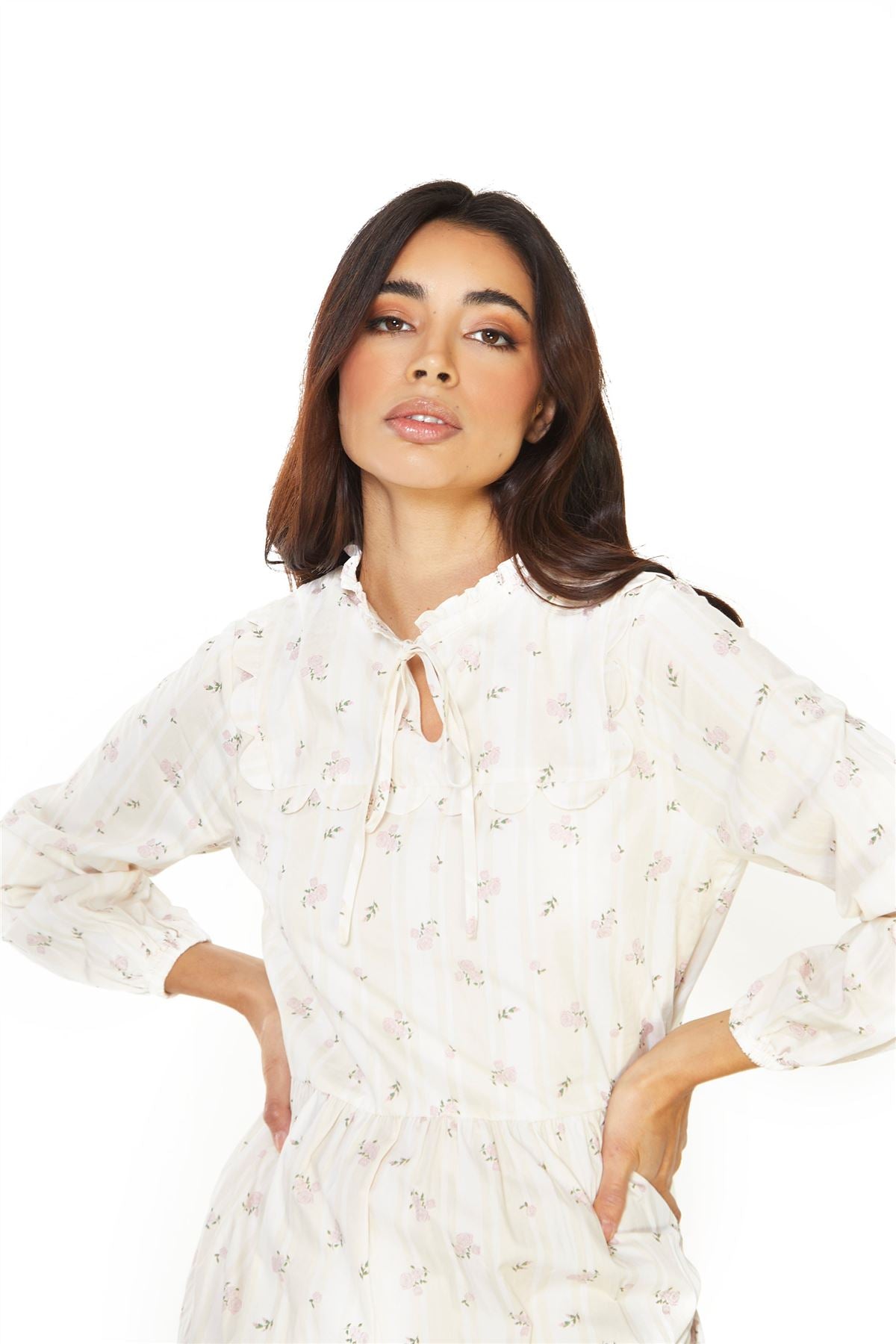 Ditsy Rose Stripe Long Sleeve Midi Dress.