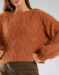 Rust Cropped Knit Jumper