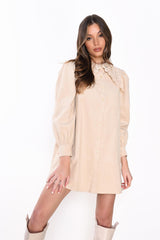 Stone Corduroy Collar Button Front Mini Dress