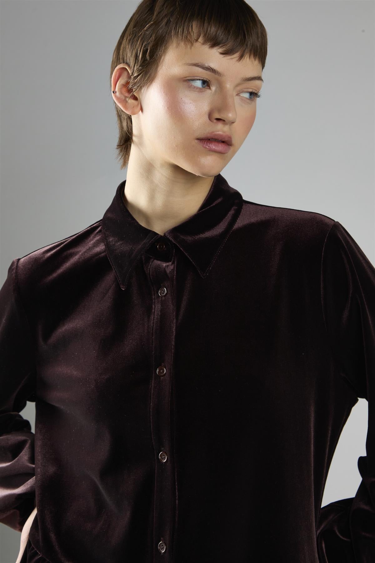 Brown Velvet A-Line Long Sleeve Midi Dress