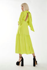 GS0469-ACID YELLOW